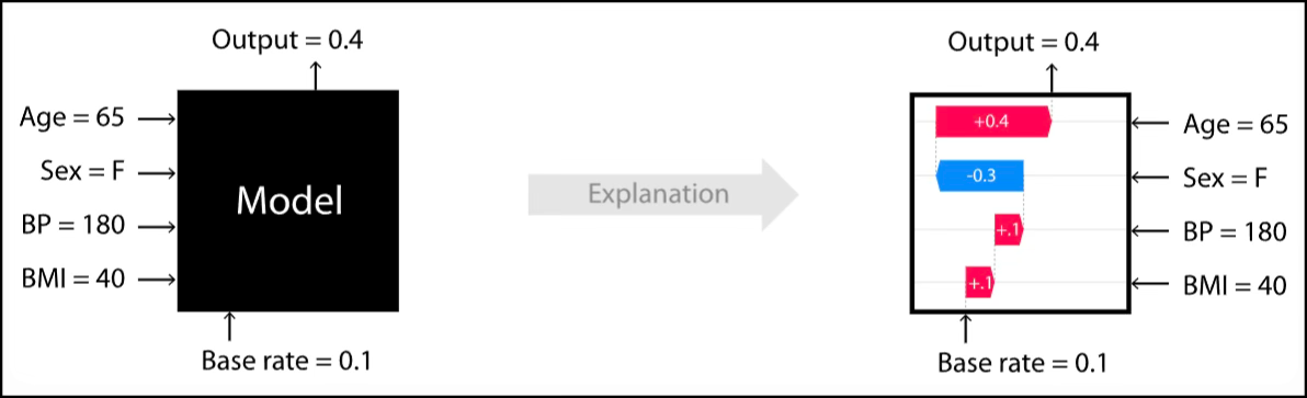 Feature attribution explaining a model prediction by each input's contribution to the output